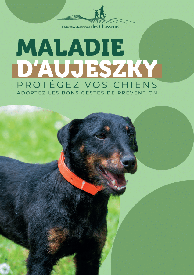 Capture d'écran 2025-12-04 145933