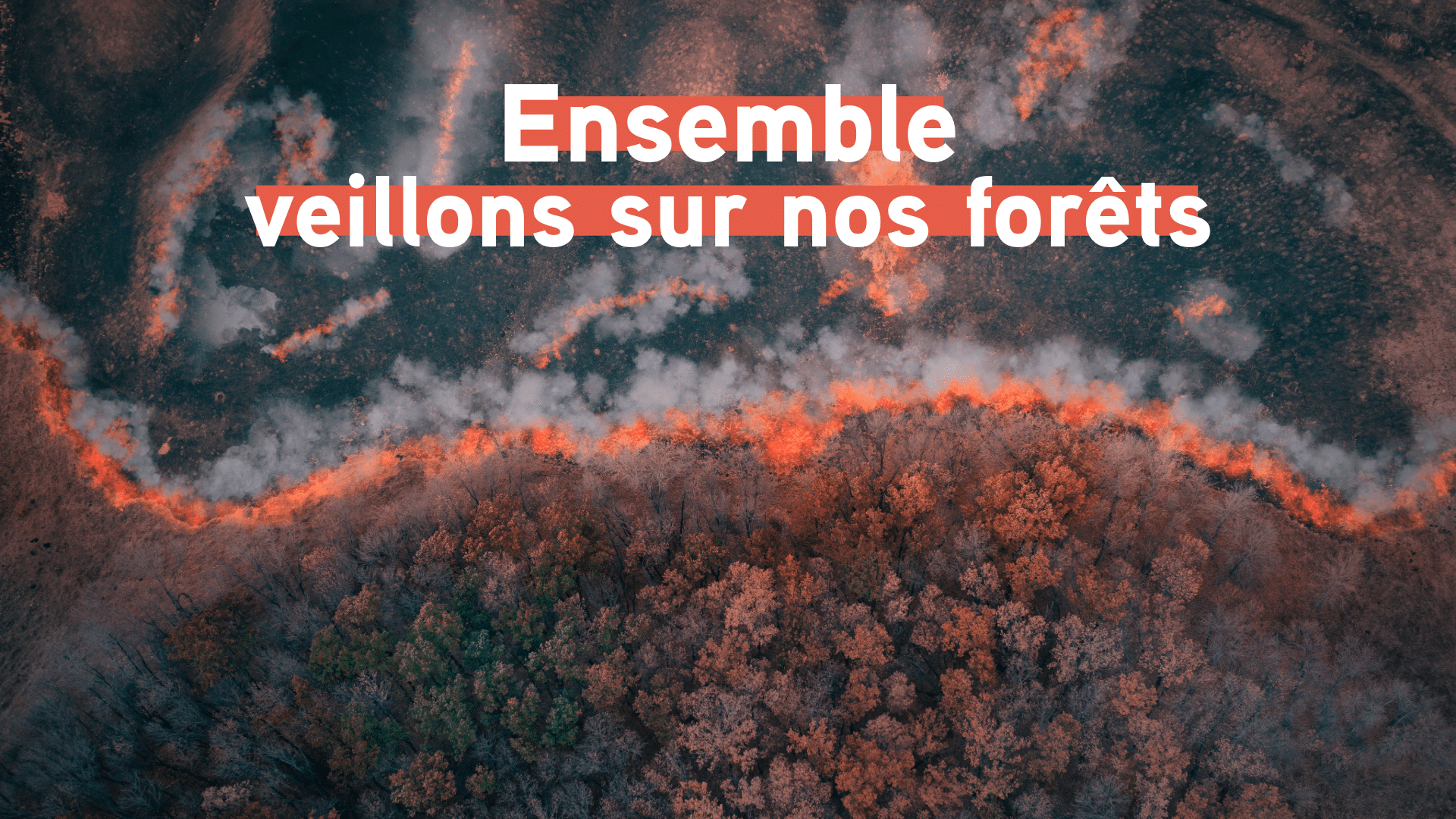 Sans titre - 29 juillet 2026 à 16.17.06